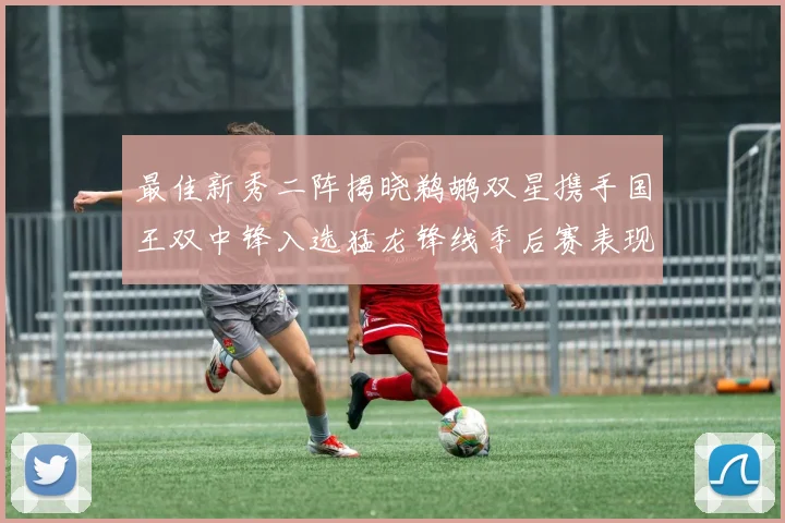 最佳新秀二阵揭晓鹈鹕双星携手国王双中锋入选猛龙锋线季后赛表现抢眼